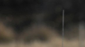 Kristi Noem, secretaria del Departamento de Seguridad Nacional