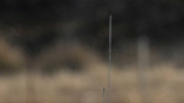 Kristi Noem, secretaria del Departamento de Seguridad Nacional