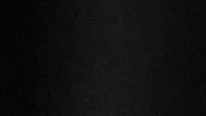 ¡Todo lo que pasa en los Grammy 2026! Sigue nuestra transmisión en vivo