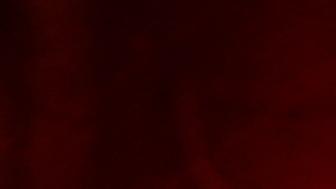 FILE - Shown is a Philadelphia police car with flashing lights in Philadelphia, Monday, Jan. 17, 2022. The Philadelphia Lodge of the Fraternal Order of Police has filed a lawsuit Wednesday, Feb. 23, 2022 seeking to stop a city law banning officers from pulling over drivers for low-level offenses from going into effect saying the law illegally pre-empts existing state laws on traffic violations. (AP Photo/Matt Rourke, File)