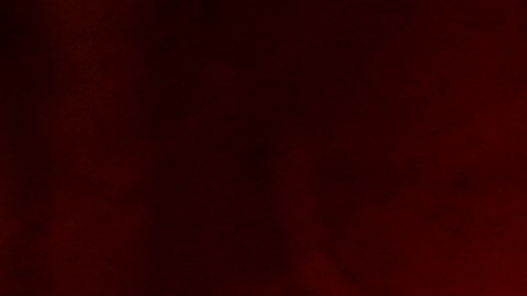 FILE - Shown is a Philadelphia police car with flashing lights in Philadelphia, Monday, Jan. 17, 2022. The Philadelphia Lodge of the Fraternal Order of Police has filed a lawsuit Wednesday, Feb. 23, 2022 seeking to stop a city law banning officers from pulling over drivers for low-level offenses from going into effect saying the law illegally pre-empts existing state laws on traffic violations. (AP Photo/Matt Rourke, File)