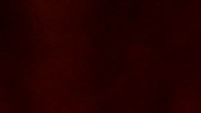 FILE - Shown is a Philadelphia police car with flashing lights in Philadelphia, Monday, Jan. 17, 2022. The Philadelphia Lodge of the Fraternal Order of Police has filed a lawsuit Wednesday, Feb. 23, 2022 seeking to stop a city law banning officers from pulling over drivers for low-level offenses from going into effect saying the law illegally pre-empts existing state laws on traffic violations. (AP Photo/Matt Rourke, File)