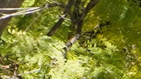Police investigators leave a crime scene at a home in Inglewood, Calif., on Sunday, Jan. 23, 2022. Authorities said several were killed when multiple shooters opened fire at a house party near Los Angeles early Sunday. (AP Photo/Damian Dovarganes)