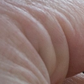 California Highway Patrol Sgt. Scott Siria, right, places a black band on the badge of CHP Lieutenant Ben Moser before the start of the funeral service for Sacramento County Deputy Sheriff Robert French, Thursday, Sept. 7, 2017, in Roseville, Calif. French was shot and killed in a shoot out with an suspect during an auto theft investigation in Sacramento, Calif., last Wednesday. (AP Photo/Rich Pedroncelli)