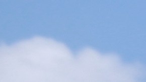 Según CBS, en el operativo hubo respaldo de la Fuerza de Tarea Conjunta Interagencial Anticarteles.