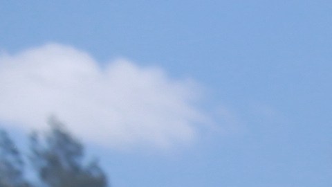 Según CBS, en el operativo hubo respaldo de la Fuerza de Tarea Conjunta Interagencial Anticarteles.