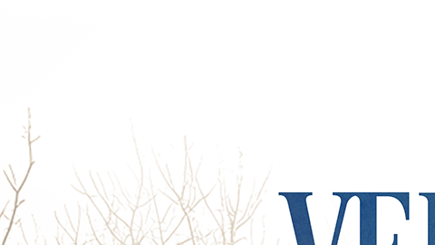 "Mi Verdad Oculta" es la nueva telenovela de Susana González, David Chocarro y Andrés Palacios.