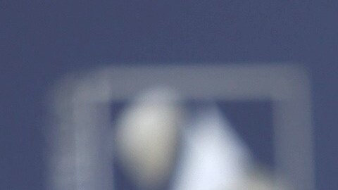 Diego Bacter, novio de Majo Aguilar, confirma romance con románticas postales en redes sociales