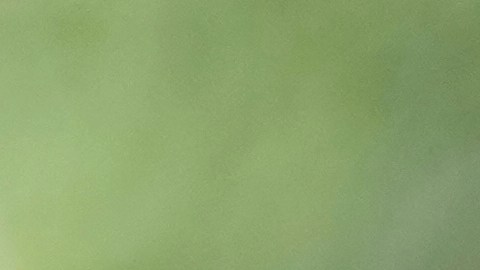 Marc Anthony frena a un fan que le exige hablar en español durante su concierto en Las Vega