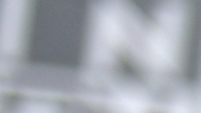 Mauricio Ochmann comparte la historia de su adopción y el intento por conocer sus orígenes