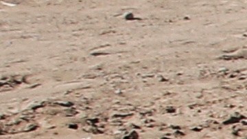 Millones de niños en Sudán sufren la mayor “catástrofe humanitaria” del mundo: UNICEF