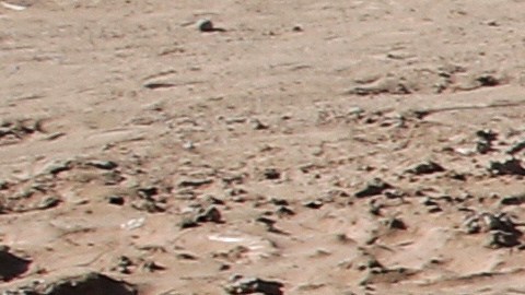 Millones de niños en Sudán sufren la mayor “catástrofe humanitaria” del mundo: UNICEF