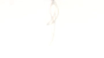 Nadia Smadi, una joven madre que lucha por su florería en Anaheim.