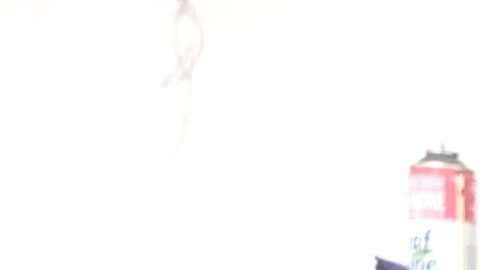 Nadia Smadi, una joven madre que lucha por su florería en Anaheim.