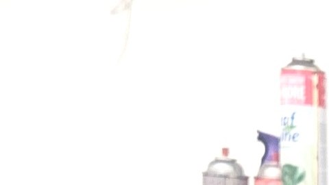 Nadia Smadi, una joven madre que lucha por su florería en Anaheim.