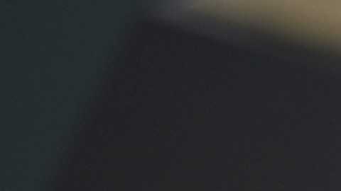 ¡Conoce a todos los ganadores de los Grammy 2026!