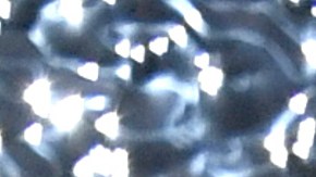 Nicole “Snooki” Polizzi