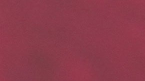 Nikki Haley, exaspirante a la candidatura republicana a la presidencia