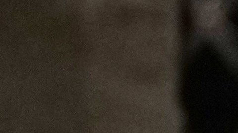 Nuevas cuentas de jubilación Trump con $1,000 al año