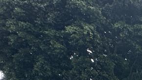 Llaman a un paro contra el consumo los primeros tres días de mayo.