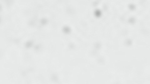 Pagar por conseguir entrevistas y ofertas de trabajo