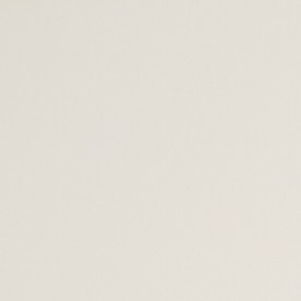 Pago del Seguro Social el 11 de febrero