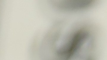 Pago del Seguro Social