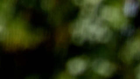 PepsiCo reporta incremento en ingresos gracias a estrategias de precio