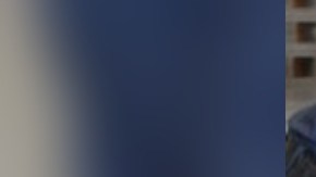 Perro detector de bombas