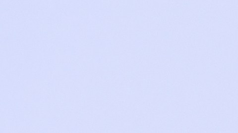 Pink niega que ella y su esposo Carey Hart estén en proceso de divorcio