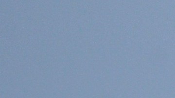 Beachgoers sit on Venice Beach during the coronavirus outbreak, Wednesday, May 13, 2020, in Los Angeles. Los Angeles County reopened its beaches Wednesday in the latest cautious easing of coronavirus restrictions that have closed most California public spaces and businesses for nearly two months. (AP Photo/Mark J. Terrill)