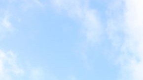 Policía del Capitolio