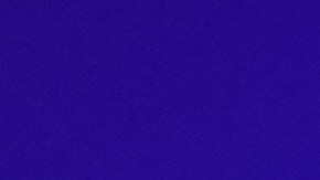 Polymarket de San Valentín