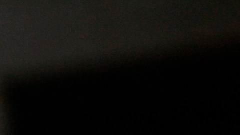 In a Thursday, Oct., 27, 2011 photo, freshly baked cookies out of Bette Snyder's oven are seen cooling at her home in Upper Sandusky, Ohio. Snyder has been baking cookies and sending them to the Occupy Wall Street protesters. (AP Photo/J.D. Pooley)