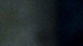 Presidente Donald Trump durante el discurso sobre el estado de la Unión