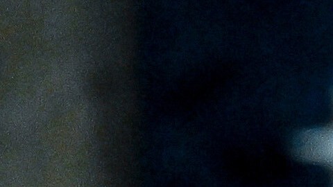 Presidente Donald Trump durante el discurso sobre el estado de la Unión