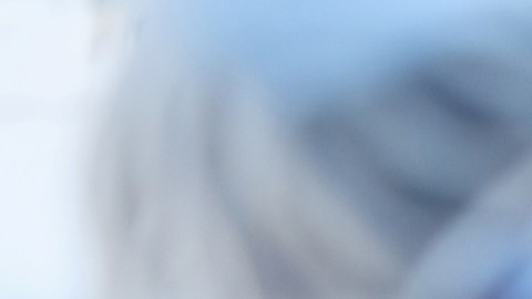 Influenza D y el coronavirus canino: dos virus que podrían provocar la próxima pandemia