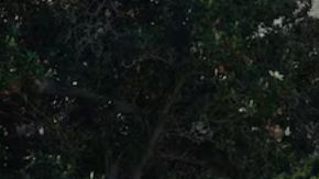 Probamos y analizamos el Chevrolet Trax 2026