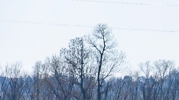 Otra más de Trump: promueve el uso de herbicida de glifosato y levanta nueva polémica