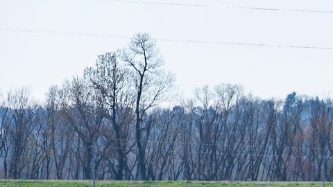 Otra más de Trump: promueve el uso de herbicida de glifosato y levanta nueva polémica