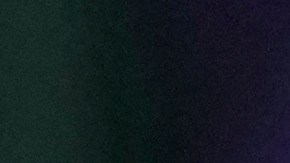 A person holds up a sign during a news conference and rally by immigrant justice organizations and advocates protesting ICE arrests in San Francisco, Wednesday, May 28, 2025. (AP Photo/Jeff Chiu)