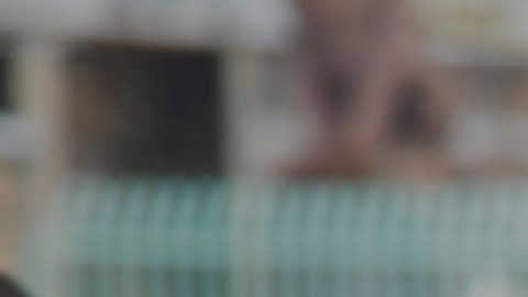 In this Tuesday, Feb. 7, 2017, photo released by U.S. Immigration and Customs Enforcement shows foreign nationals being arrested this week during a targeted enforcement operation conducted by U.S. Immigration and Customs Enforcement (ICE) aimed at immigration fugitives, re-entrants and at-large criminal aliens in Los Angeles. Immigrant advocates on Friday, Feb. 10, 2017, decried a series of arrests that federal deportation agents said aimed to round up criminals in Southern California but they believe mark a shift in enforcement under the Trump administration. (Charles Reed/U.S. Immigration and Customs Enforcement via AP)