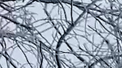 En esta imagen, tomada de un video distribuido por el Servicio de Prensa del Ministerio de Defensa de Rusia el 4 de febrero de 2026, un lanzacohetes múltiple ruso TOS-1A dispara hacia posiciones ucranianas en una ubicación no revelada en Ucrania. (Servicio de Prensa del Ministerio de Defensa de Rusia vía AP)