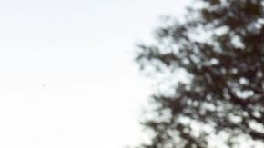 Scout se retrasa y llegará más tarde de lo previsto