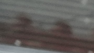 Guatemala vive crisis pandillera pese a descenso de homicidios que anunció su Presidente