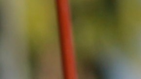 In this Saturday, Dec. 15, 2018, photo, United Teachers Los Angeles, UTLA president, Alex Caputo-Pearl, left, joins teachers at a rally next to the Broad Museum downtown Los Angeles. Teachers in the nation's second-largest school district will go on strike next month if there's no settlement of its long-running contract dispute, union leaders said Wednesday, Dec. 19. The announcement by UTLA threatens the first strike against the Los Angeles Unified School District in nearly 30 years and follows about 20 months of negotiations. (AP Photo/Damian Dovarganes)