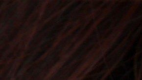 Sindicato de trabajadoras sexuales en Nevada