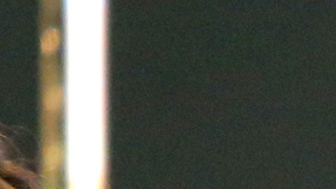 Sofia Vergara, Pitbull