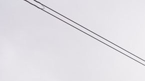 Solicitantes de asilo en Estados Unidos