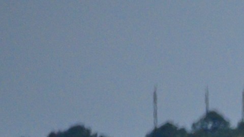 Spirit Airlines alcanza acuerdo para salir de la bancarrota y evitar liquidación